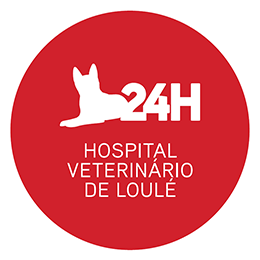 24hv - Hospital Veterinário de Loulé