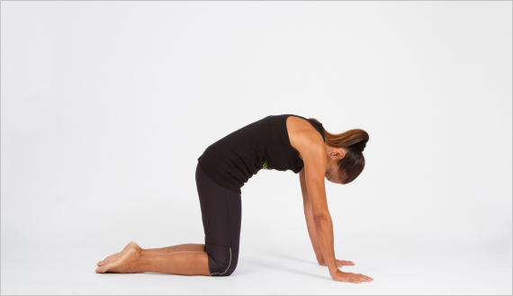O Stretches Front é um exercício - Korper Pilates e Saúde
