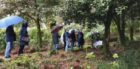 Quinta da Aveleda acolhe visita de associados - Associação Mutualista Montepio