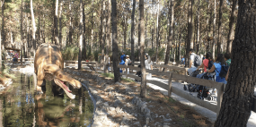 Associados em visita ao Dino Parque da Lourinhã